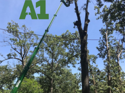 A-1 Discount Tree Services