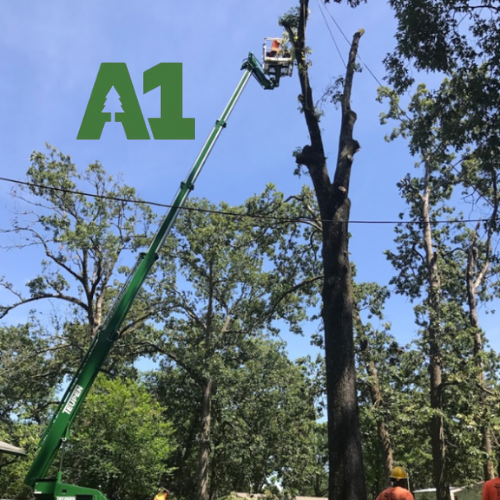 A-1 Discount Tree Services