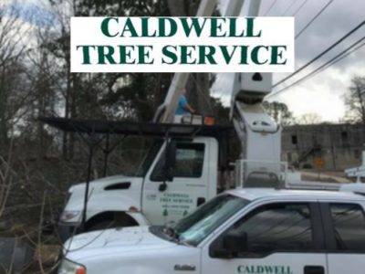 Caldwell Tree Services