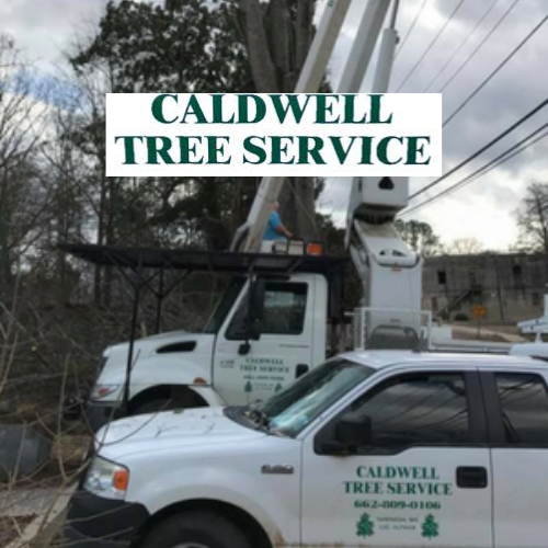 Caldwell Tree Services