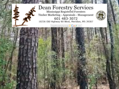 Dean Forestry Services