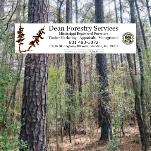 Dean Forestry Services