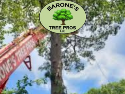 Barone's Tree Pros LLC