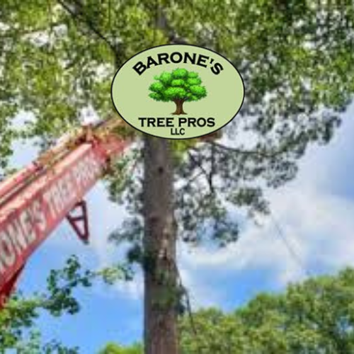 Barone's Tree Pros LLC