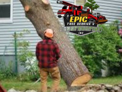 Epic Tree Service & Construction Inc