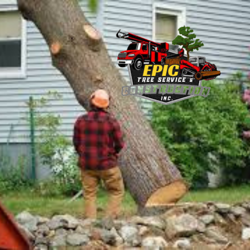 Epic Tree Service & Construction Inc