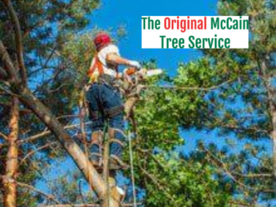 The Original McCain Tree Service