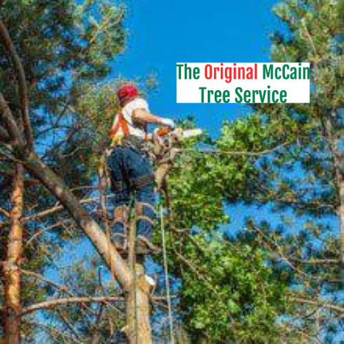 The Original McCain Tree Service