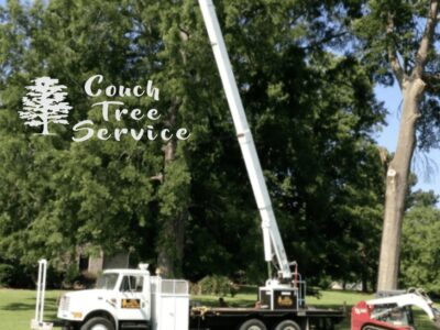 Couch Tree Service