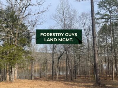 Forestry Guys Land Management LLC