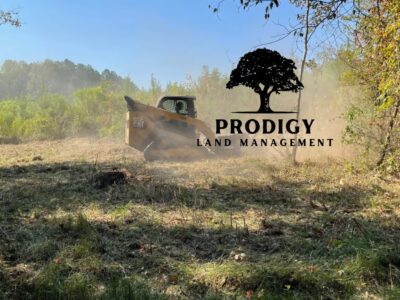 Prodigy Land Management